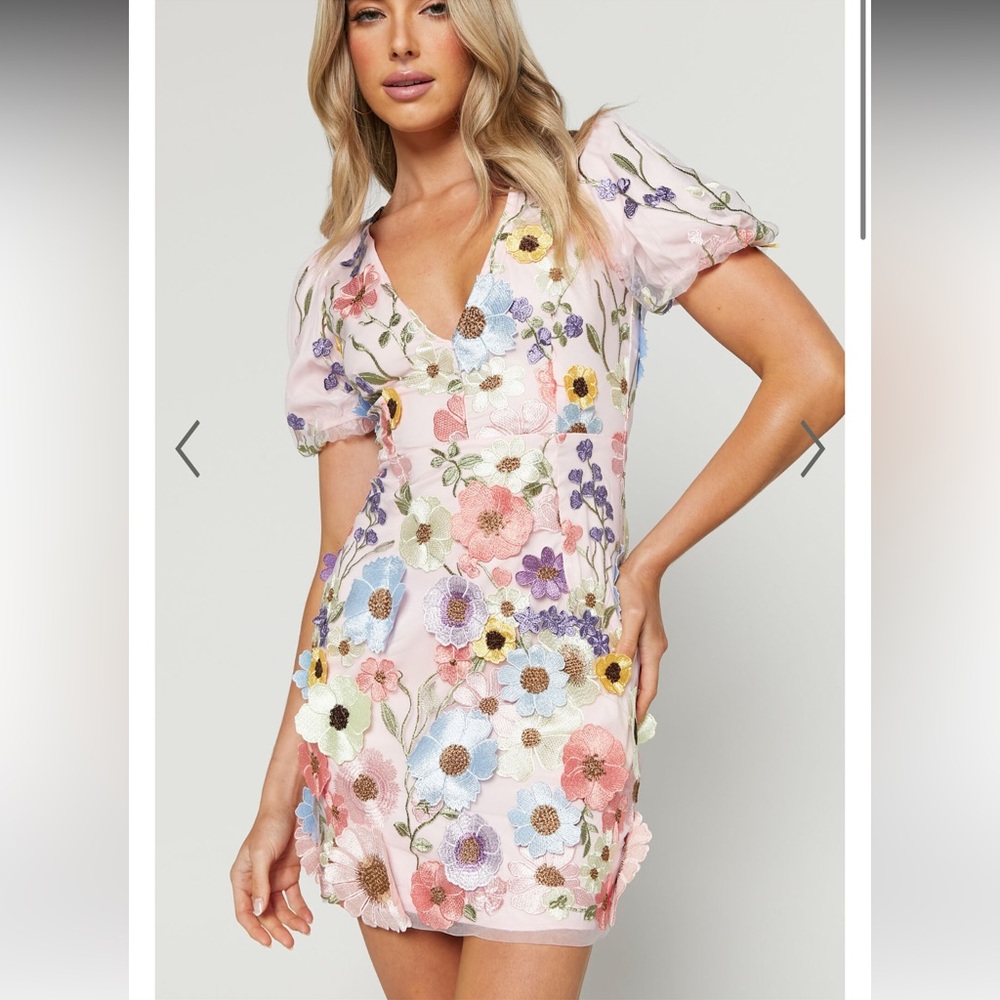 WREN MINI DRESS - PUFF SLEEVE BODYCON 3D GARDEN FLOWERS DRESS IN PINK